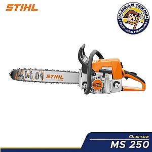 Chainsaw - MS 250