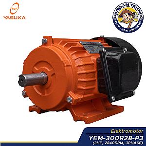 Electromotor - YEM-300R28-P3
