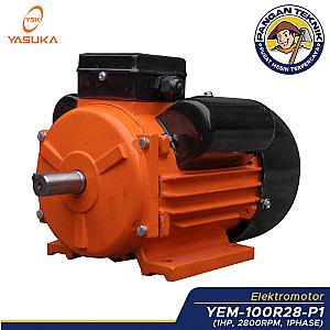 Electromotor - YEM-100R28-P1