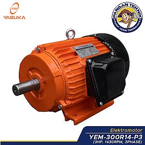 Electromotor - YEM-300R14-P3
